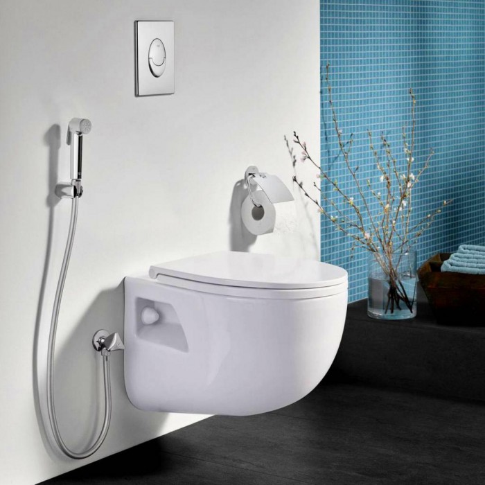 Grohe Tempesta-F Trigger Spray 30 27512001 Лейка для гигиенического душа 27512001 Grohe Tempesta-F Trigger Spray 30 27512001 Лейка для гигиенического душа 27512001