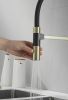 Kern 2075  matt gold Смеситель для кухни
