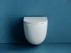 Унитаз Ceramica nova Vogue CN4008T подвесной безободковый с сиденьем микролифт