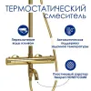 Душевая система с термостатическим смесителем Wasserkraft A188.256.207.PG Thermo Gold